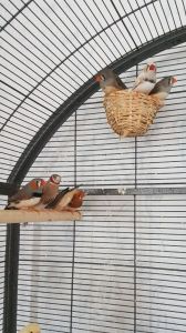 WhatsApp Image 2017-09-01 at 13.01.35